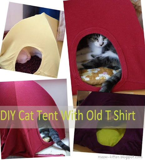 Diy cat house t shirt Diy cat house t shirt